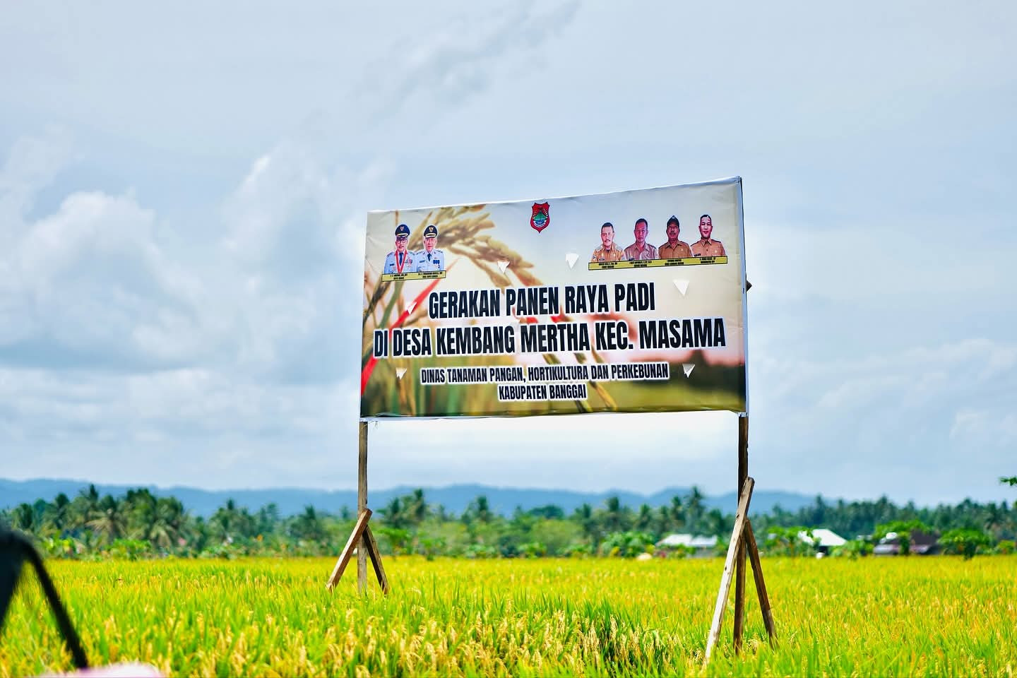 Bupati Banggai Hadiri Panen Raya di Masama