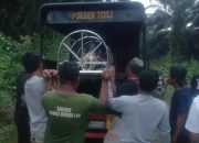 Kakek Ditemukan Tewas Gantung Diri di Kebun Pala