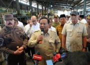 Capaian Satgas Penertiban Kawasan Hutan, Aset Rp150 Triliun Kembali ke Negara