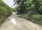 Mantoh dan Jalan yang Terlupa