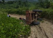 Kecelakaan Kerja di Areal Perkebunan Sawit Batui