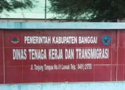 Kontrak 3 Bulan Berulang, Ratusan Pekerja Tambang Siuna Mengadu