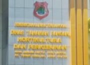 Ratusan Hektare Sawah Rusak di Siuna, Kebijakan Dinas TPHP Dipertanyakan