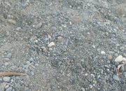 Material Langka, Proyek Molor: Perusahaan Pendukung Banggai Luput dari Sorotan