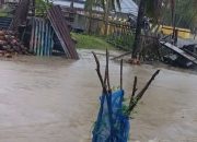 Banjir di Balantak Utara, Koalisi Yayasan Desak Evaluasi Total Kebijakan Lingkungan