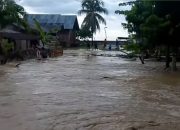 Koalisi Yayasan Lingkungan Pertanyakan Kesiapan Sistem Peringatan Dini di Banggai