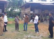 Kandang Ayam Batui: Antara Cuan dan Lalat, Ketika Usaha Tumbuh Tanpa Restu Teknis