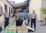 120 Liter Cap Tikus Digagalkan Masuk Luwuk