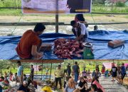 PT Delta Subur Permai Potong 5 Sapi Kurban