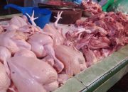 Di Banggai, Ayam Tetap Rp55 Ribu Saat Harga Lain Bikin Dompet Menjerit