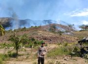 Polisi Tinjau 30 Hektare Hutan Banggai Terbakar