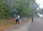 Api Mengamuk Lagi, Puluhan Hektar Lahan Hangus