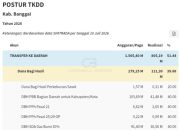 Transfer Rp1,64 Triliun Mengalir ke Banggai, Tapi Baru Separuh Tersalurkan