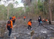 50 Hektar Pegunungan Nuhon Terbakar