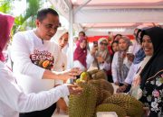 Durian Sulteng Menembus Pasar Dunia