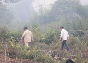 Presiden Prabowo Turun Pantau Karhutla