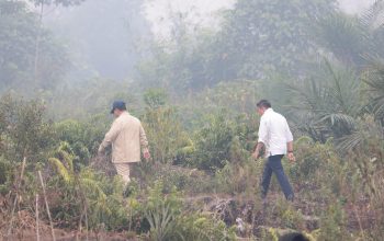 Presiden Prabowo Turun Pantau Karhutla