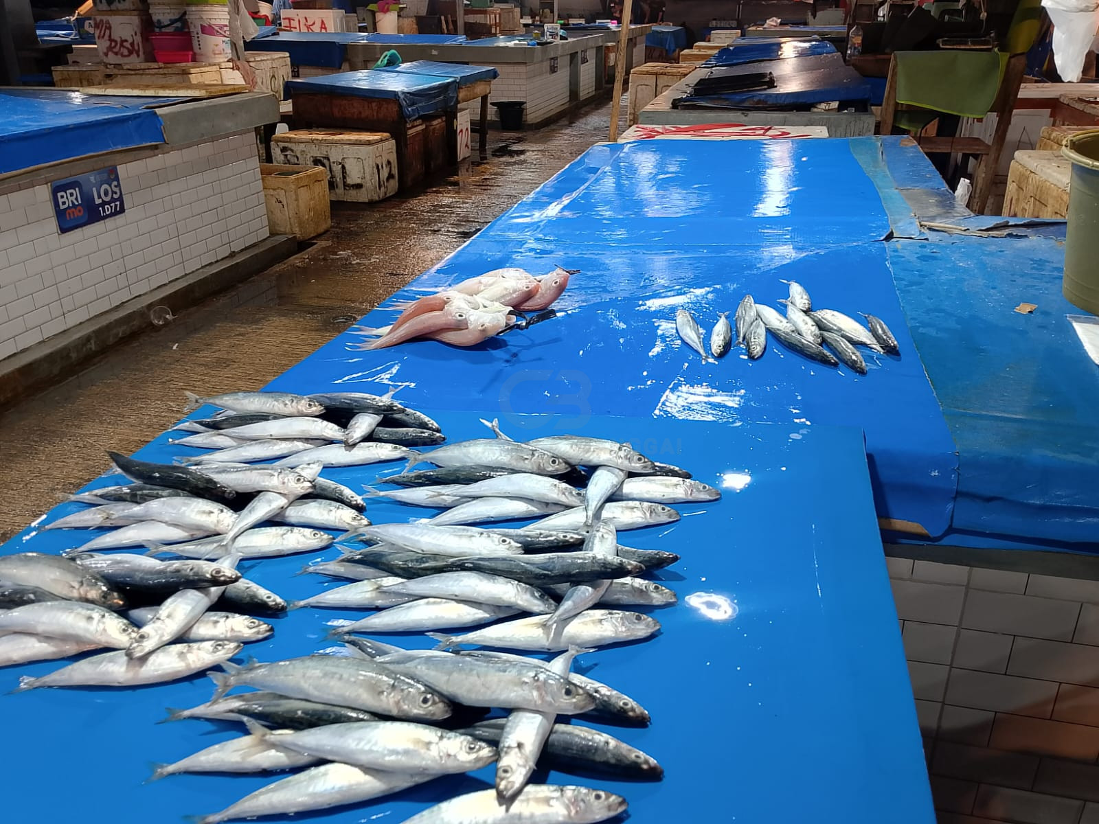 Angin Kencang Nelayan Terganggu, Pasokan Ikan Jadi Mahal
