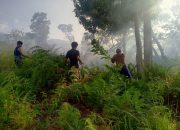 10 Hektare Kebun di Nuhon Dilalap Api
