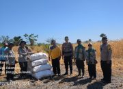 Polisi Gelar Panen 4 Ton Jagung