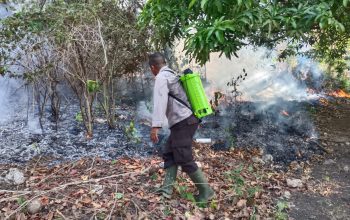 1 Hektare Lahan Produktif di Nuhon Terbakar