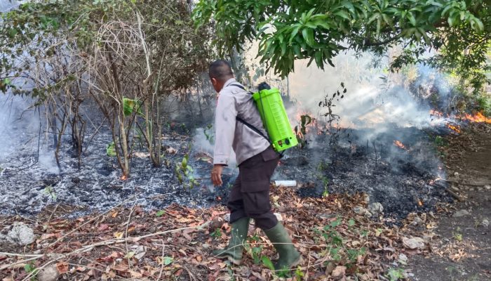1 Hektare Lahan Produktif di Nuhon Terbakar