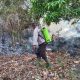 1 Hektare Lahan Produktif di Nuhon Terbakar
