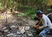 Kerangka Manusia Ditemukan di Pegunungan Molino