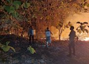 Api Nyaris Telan Permukiman, 10 Hektare Lahan di Bualemo Hangus