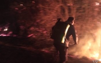 Satu Hektare Lahan di Pagimana Terbakar