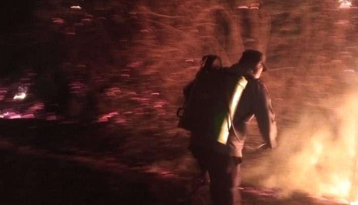 Satu Hektare Lahan di Pagimana Terbakar