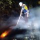 Api Mengancam Kawasan Suaka Margasatwa Lombuyan