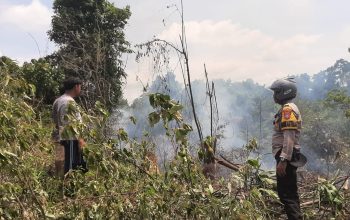 Diserang Lebah Hingga Bakar 1 Hektare Kebun di Batui