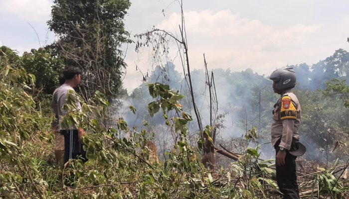 Diserang Lebah Hingga Bakar 1 Hektare Kebun di Batui