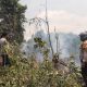 Diserang Lebah Hingga Bakar 1 Hektare Kebun di Batui