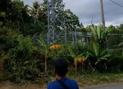 Hampir Setahun Mati, Tiga Desa di Bangkep Tanpa Sinyal