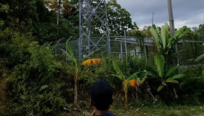 Hampir Setahun Mati, Tiga Desa di Bangkep Tanpa Sinyal