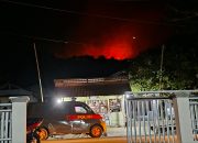Di Pagimana, 10 Hektare Padang Ilalang Terbakar