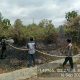 Api Lahap Perkebunan Lopon