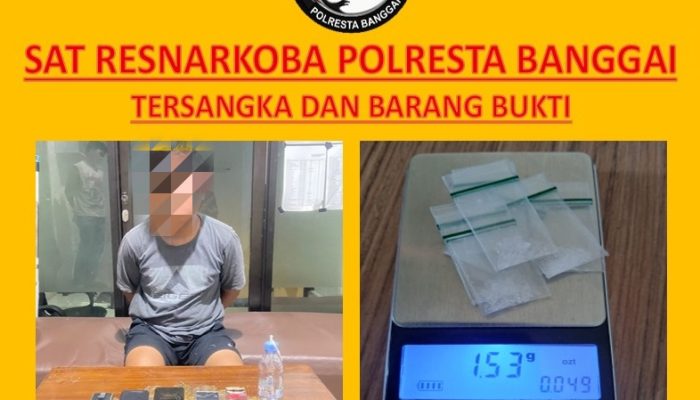 Tujuh Paket Sabu Siap Edar, Pemuda 24 Tahun Diciduk Polisi