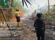 Api Membara Dua Meter dari Pagar Pertamina, Polsek Batui Lakukan Penanganan