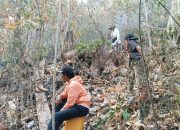 Karhutla Mengamuk di Pohi, 3 Hektare Lahan Terbakar