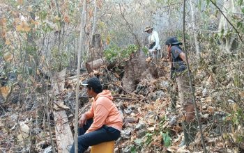 Karhutla Mengamuk di Pohi, 3 Hektare Lahan Terbakar
