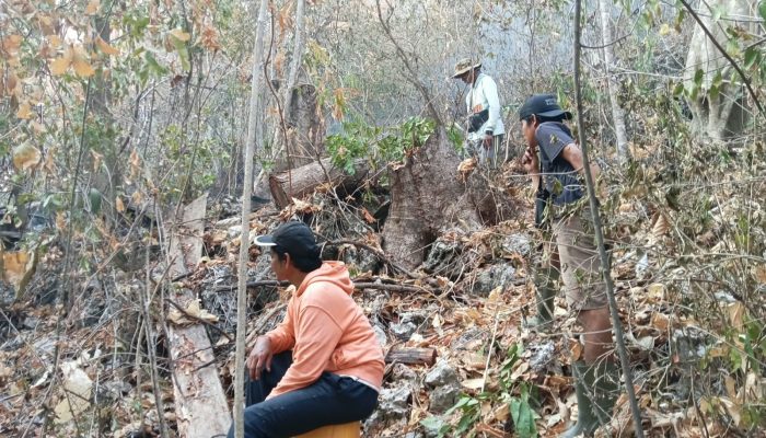 Karhutla Mengamuk di Pohi, 3 Hektare Lahan Terbakar