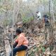 Karhutla Mengamuk di Pohi, 3 Hektare Lahan Terbakar