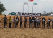 Panen 5,8 Ton, Jagung Nuhon Buktikan Potensi Besar Lahan Petani