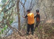 Api Mengancam Perkebunan Balantak