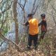 Api Mengancam Perkebunan Balantak