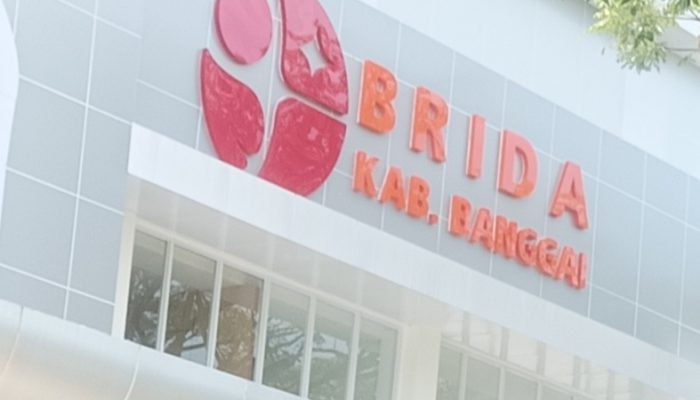 BRIDA Sibuk Bikin Kajian, Apa Manfaatnya Untuk Masyarakat?