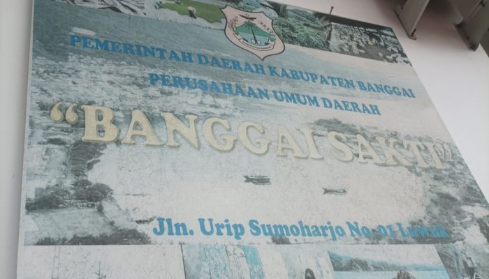 BUMD Banggai Sakti Bidik Banyak Bisnis, Penyertaan Modal Belum Ada